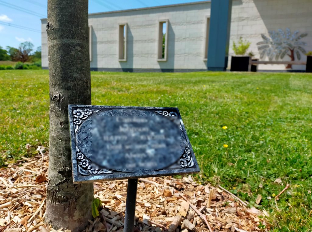 Memorial Tree in our Grounds