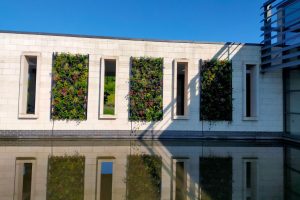 Reflections of the Living Wall