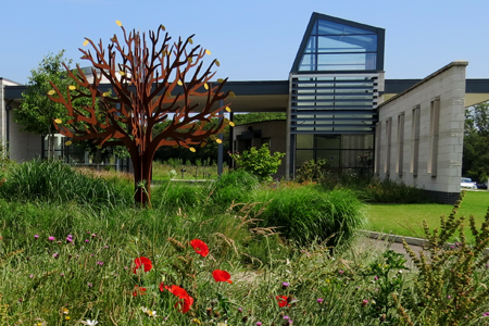 Poppies next to the steel tree of life