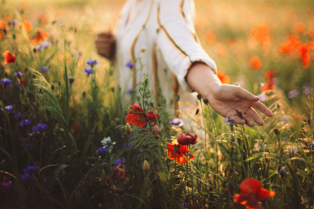 Woman in rustic dress gathering poppy and wildflowers in sunset light, walking in summer meadow. Atmospheric authentic moment. Copy space. Hand picking up flowers in countryside. Rural slow life