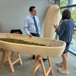 Mushroom coffin. Image courtesy of Felicity Harvest